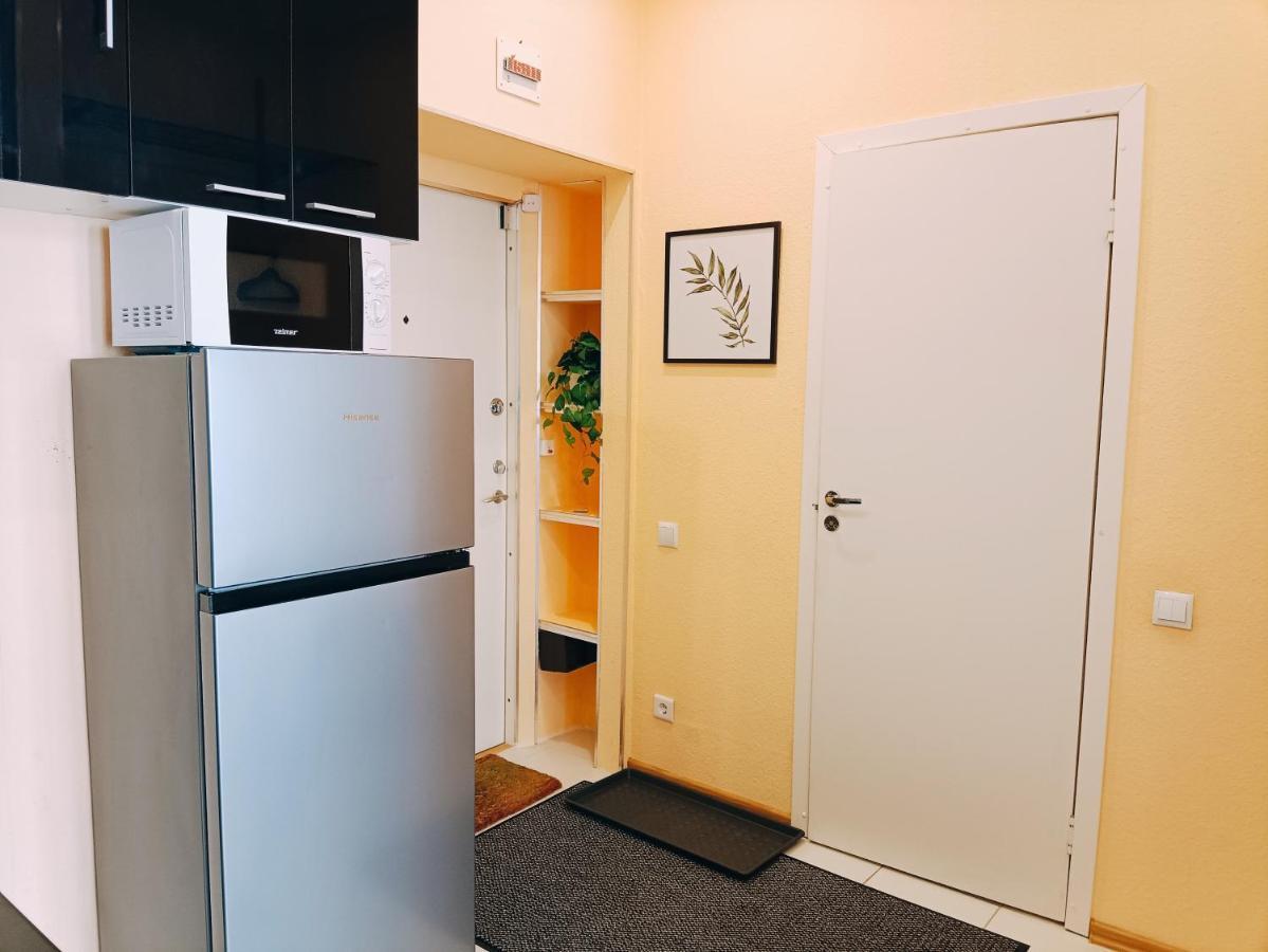Centrally Located Studio Apartment Riga Kültér fotó